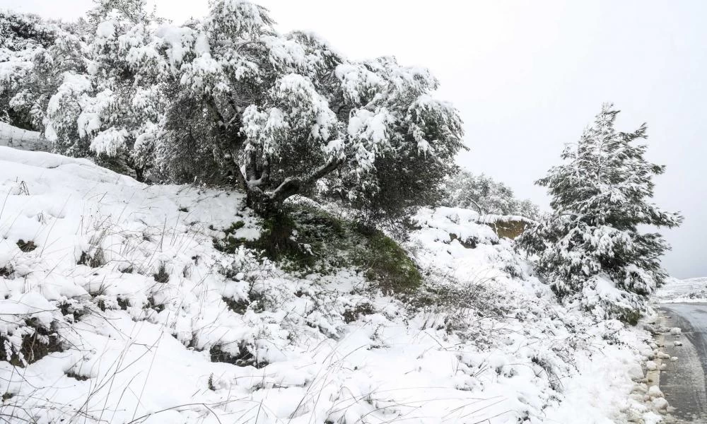 Καιρός σήμερα: Χιόνια, πτώση θερμοκρασίας και καταιγίδες – Αναλυτική πρόγνωση